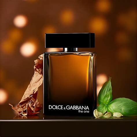 dolce gabbana the one pricerunner|dolce gabbana the one aftershave.